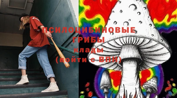хмурый Балахна