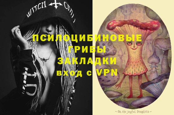 хмурый Балахна