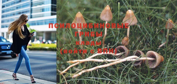 хмурый Балахна