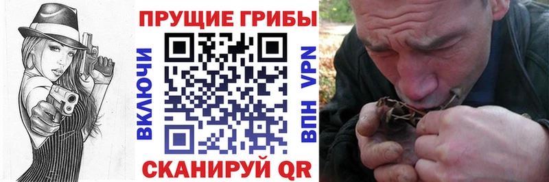 мега ССЫЛКА  площадка Telegram  Усть-Катав  Галлюциногенные грибы Psilocybe  цена наркотик 